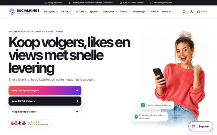 Homepage of socialkings.online